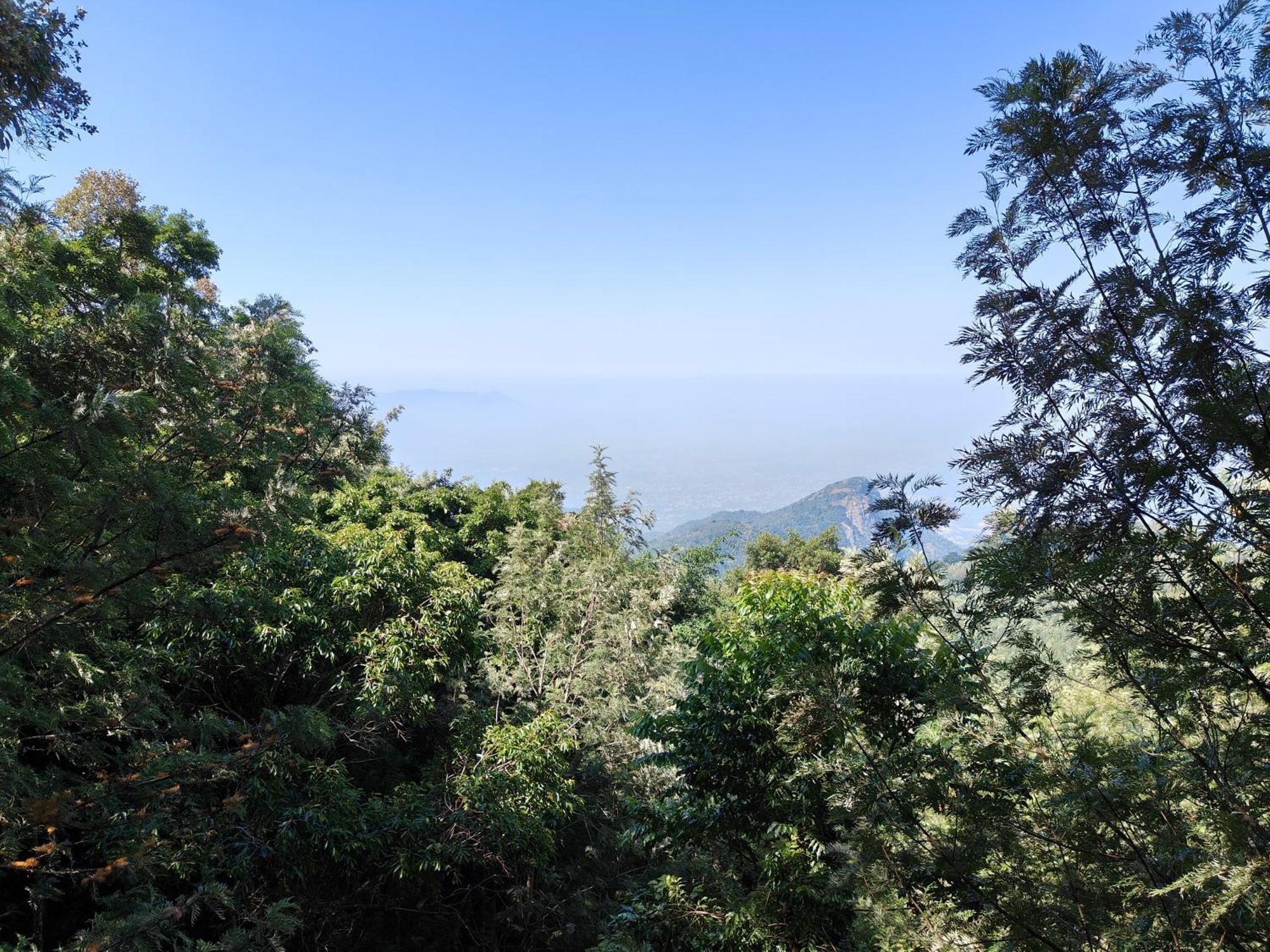 Tipperary Treehouse With Valley View Yercaud Exterior photo